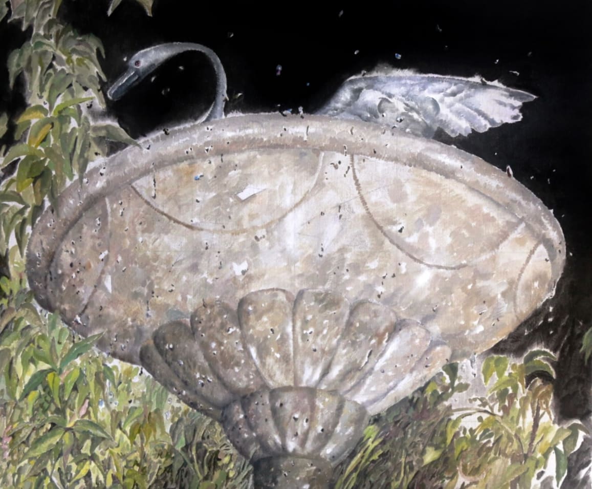 Sliver Swan