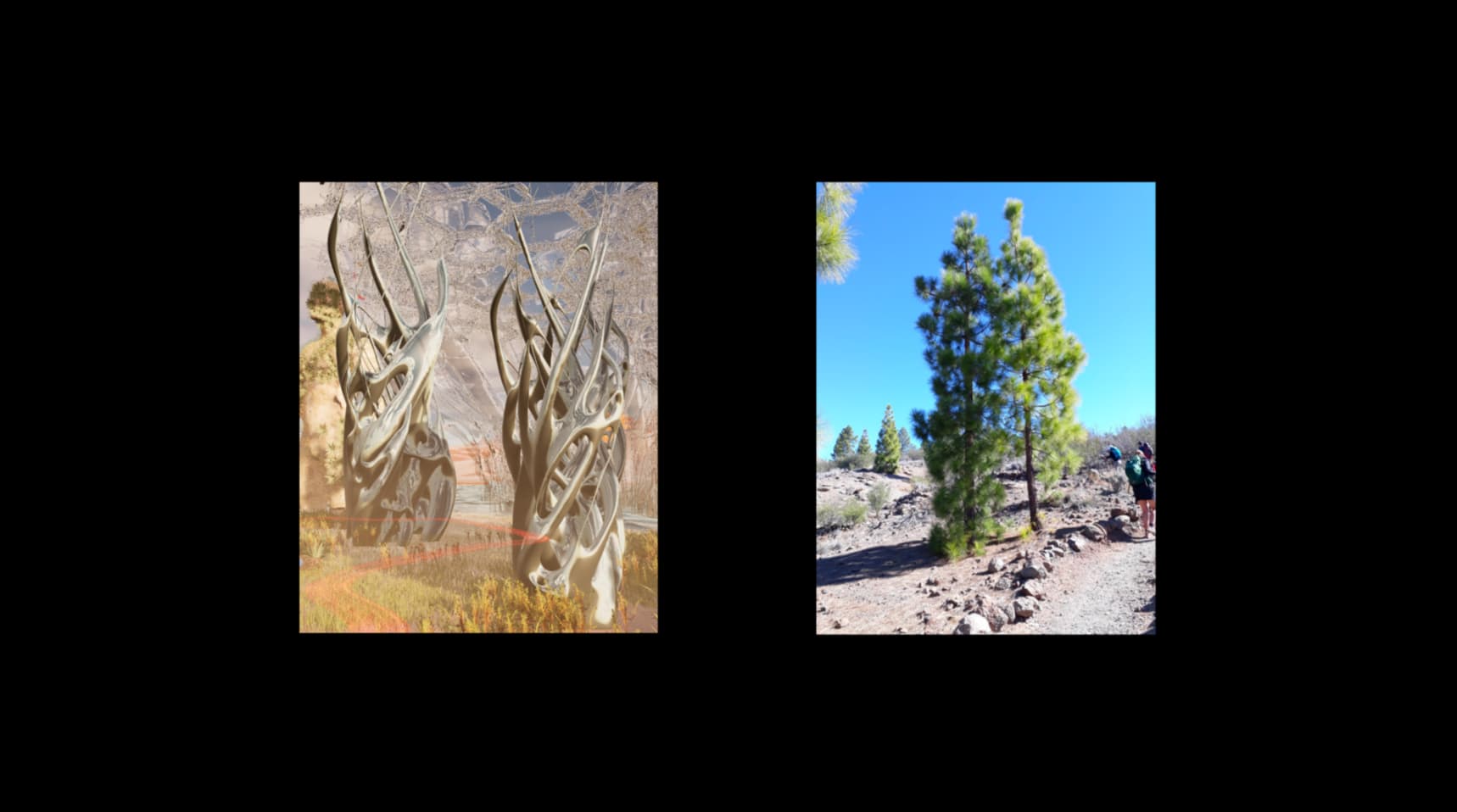 Rendering, Photograph