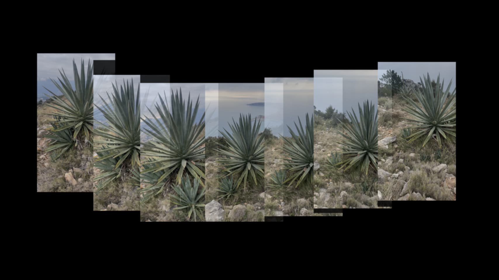 Photogrammetry&phtograph