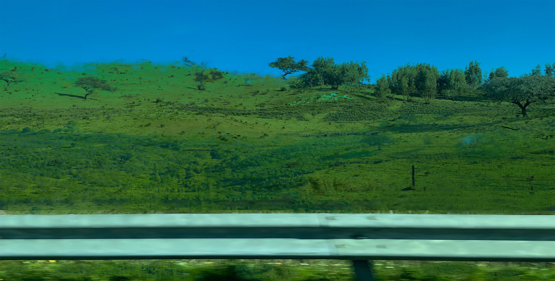 Distorted digital collage of photographic material depicting roadway landscape with trees, hills and road banner.