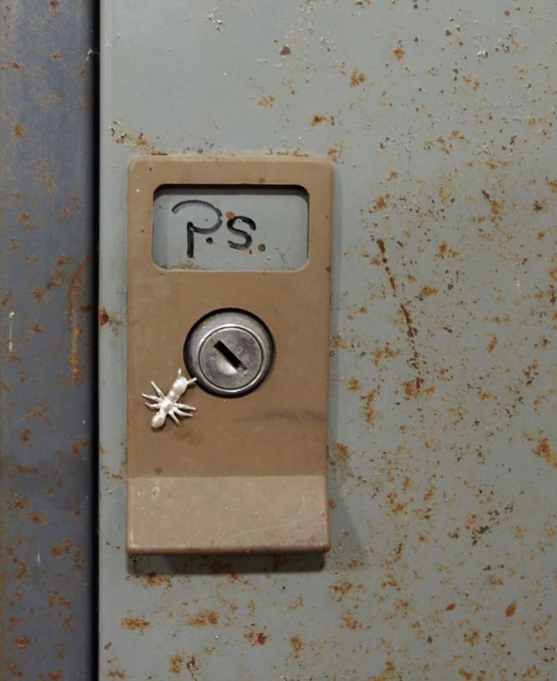 silver ant on locker door