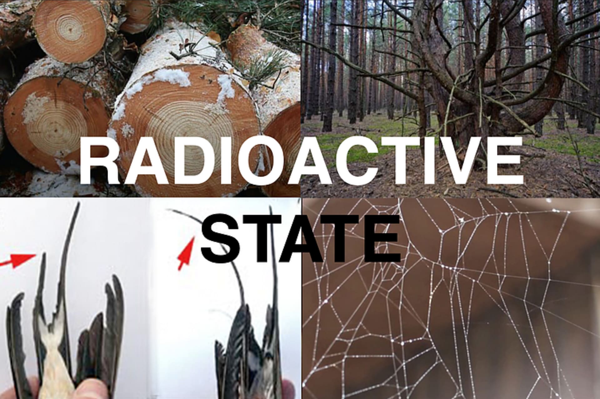 Radioactive State