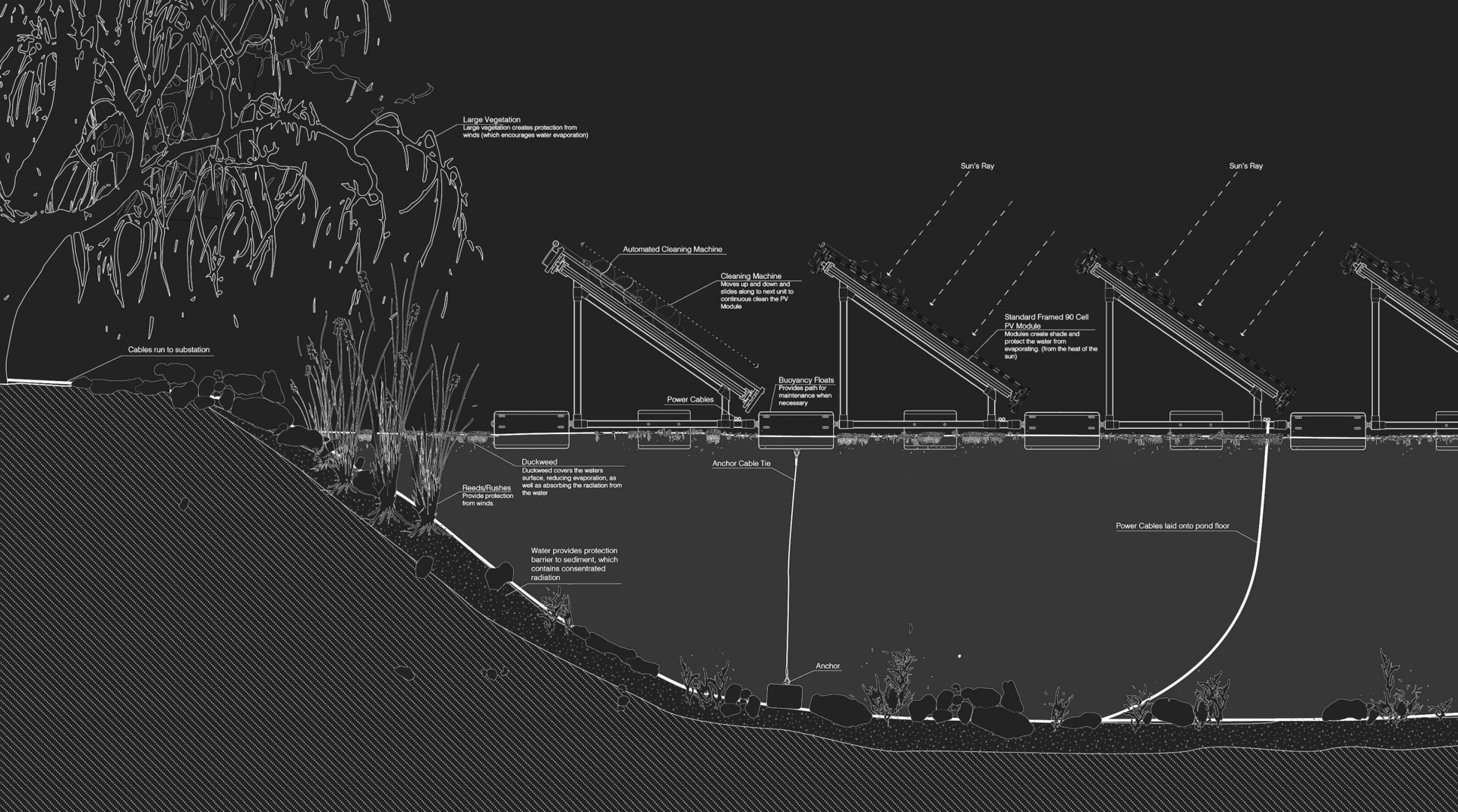 Autotomy - Detailed Edge Section