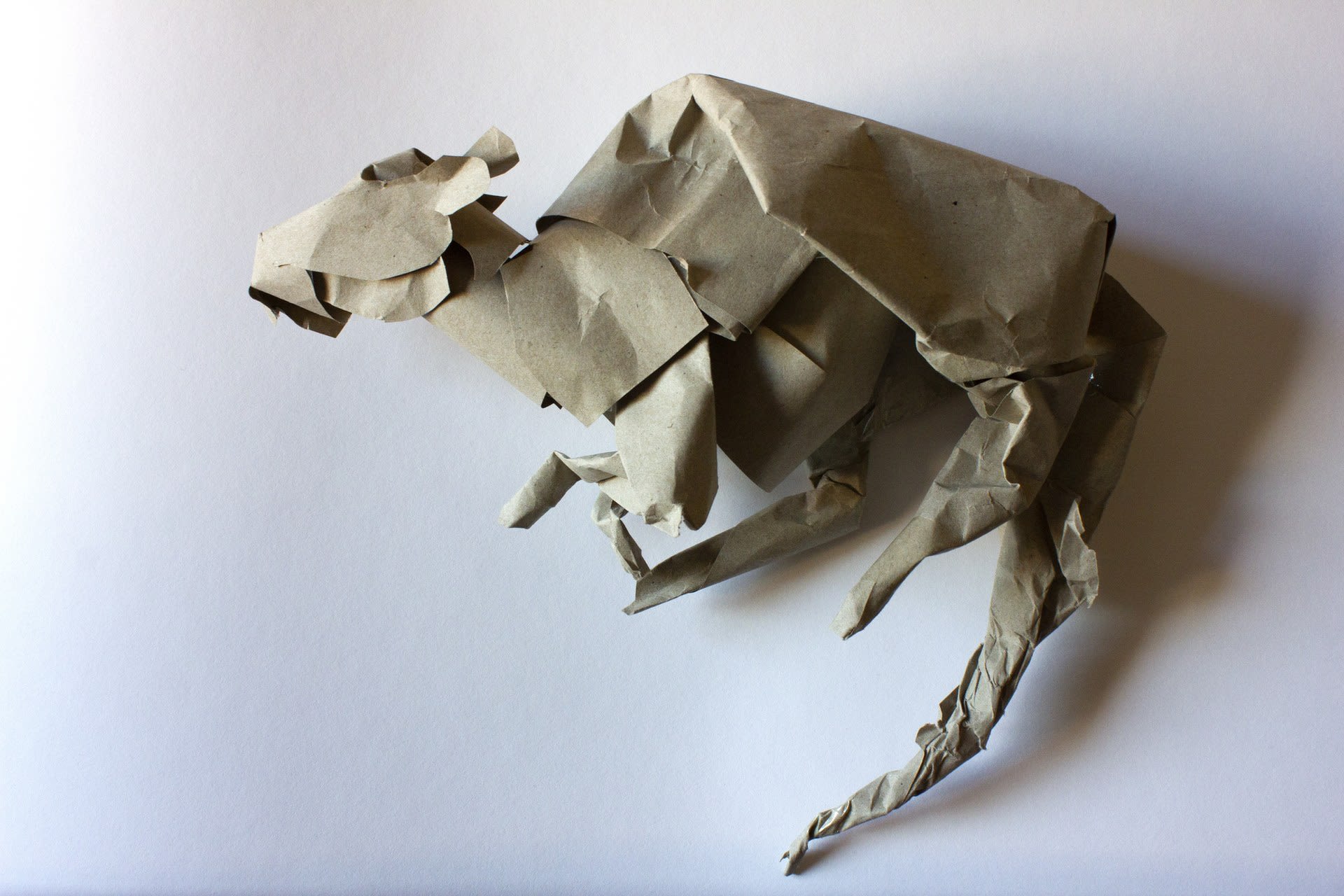 Paper Rat