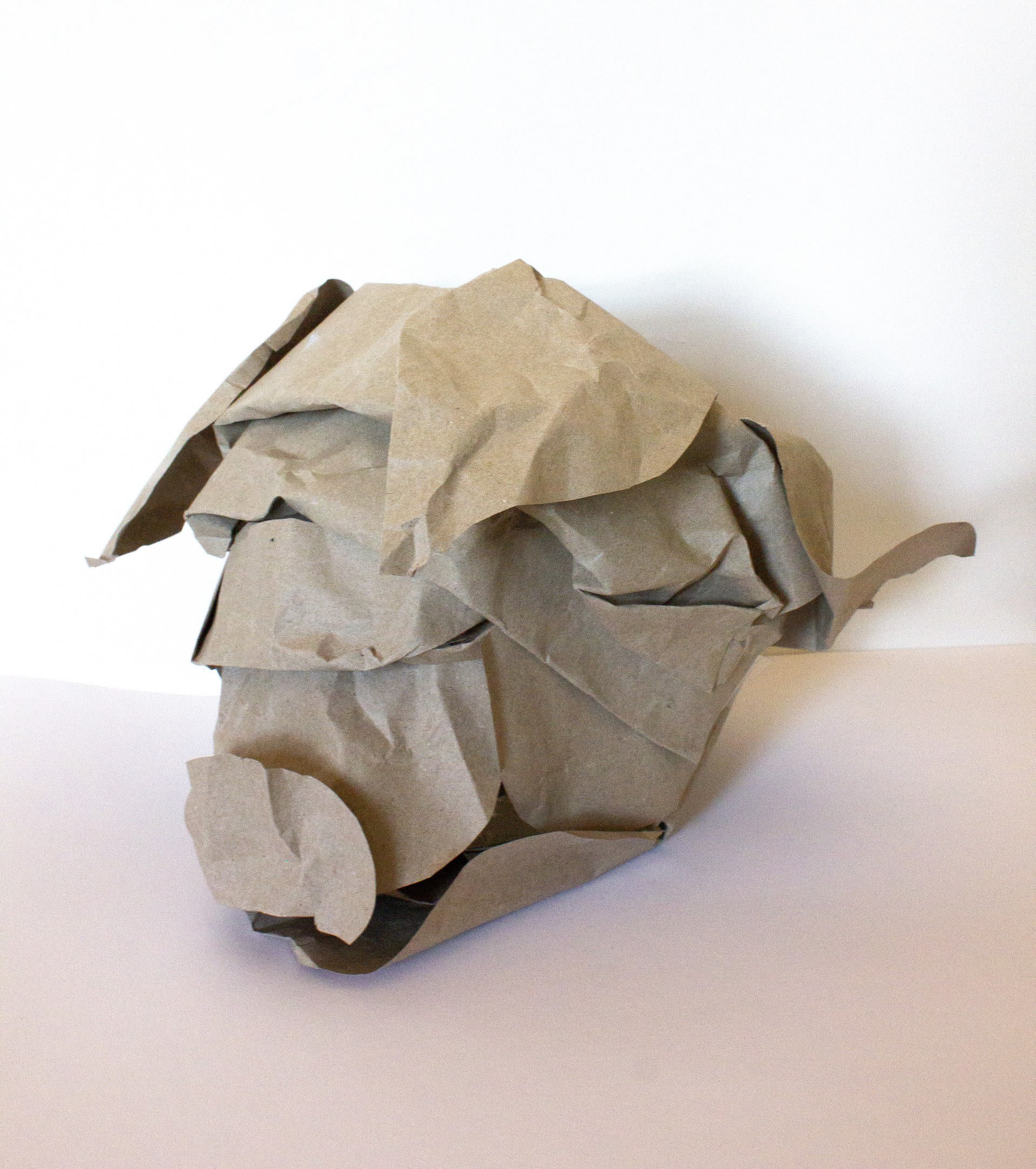 Paper Pig