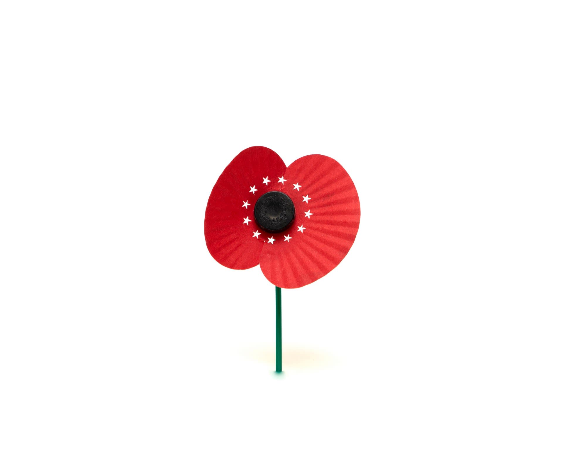 ReMemberance Poppy