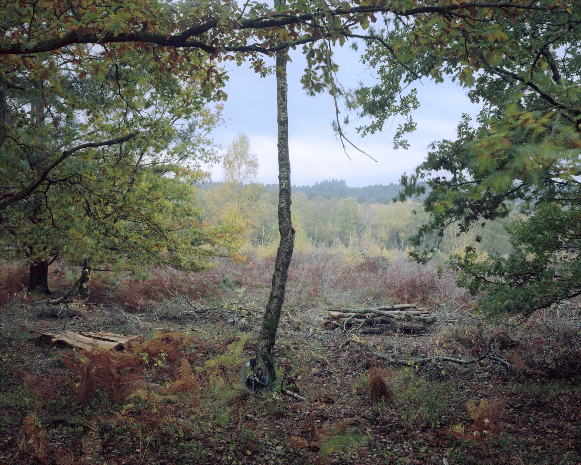 Landscape with Oak Trees and A Hunter