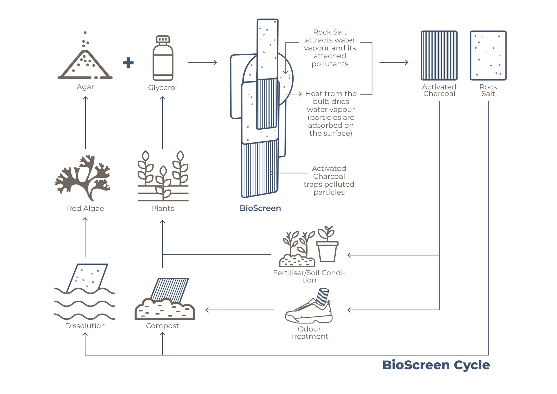 BioScreen Cycle