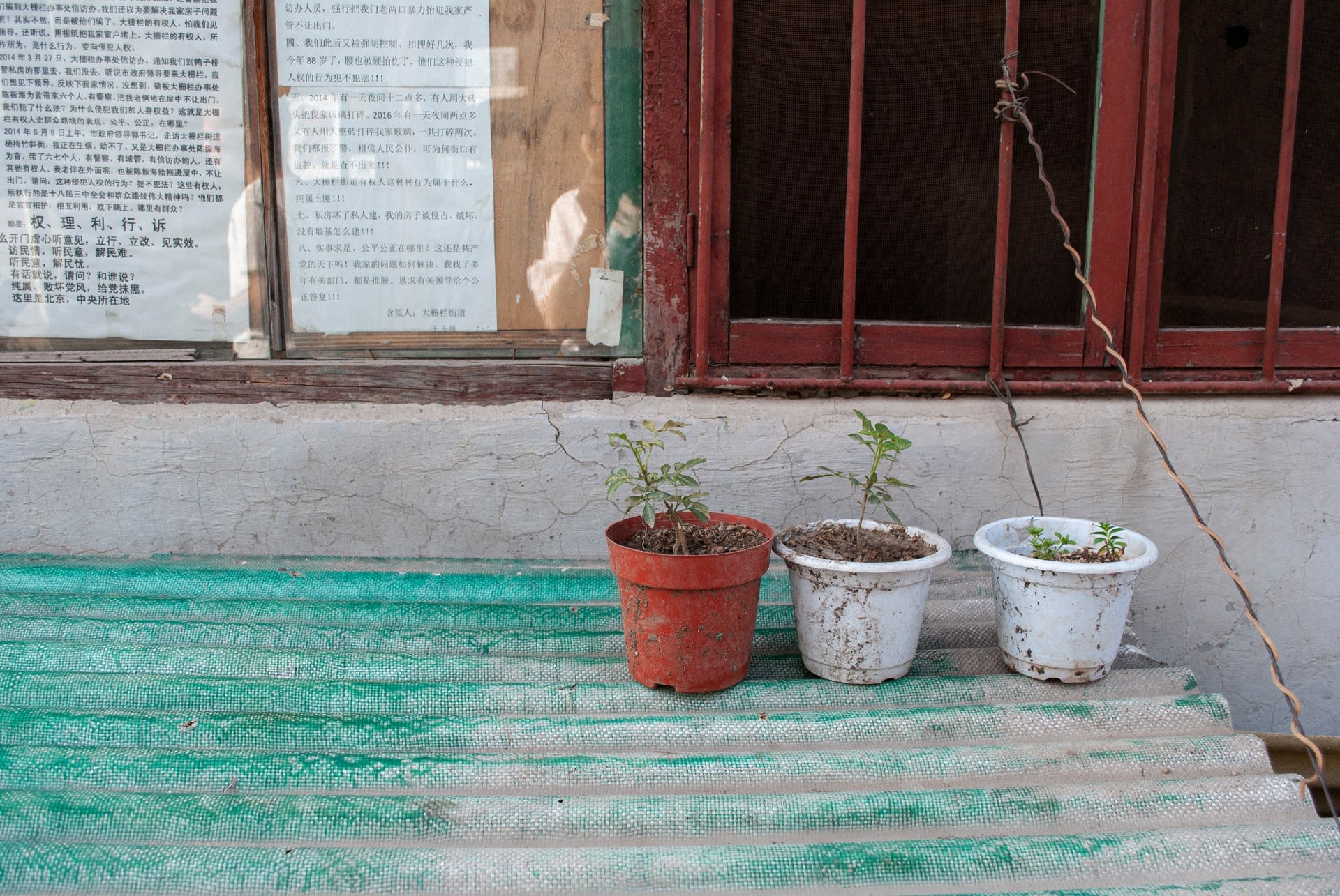 Pot-plant Enthusiasts