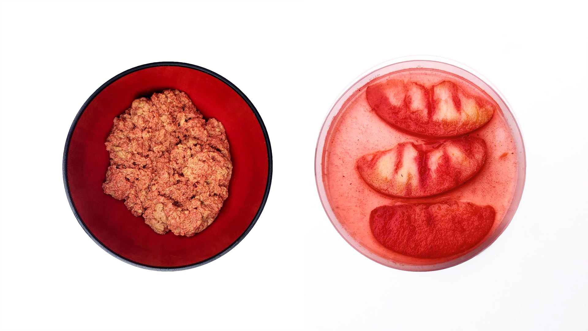 Lab-grown meat prototypes inspired by scientific interviews