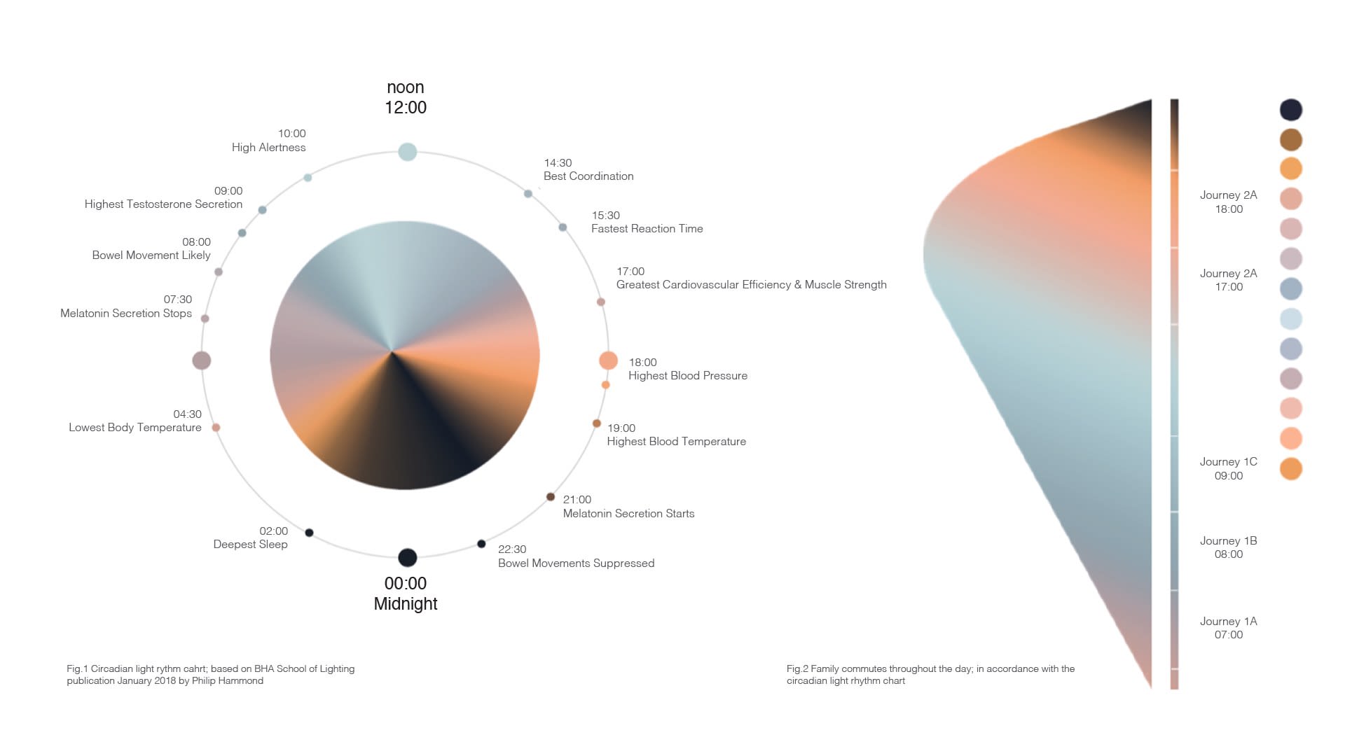 Prospect & Refuge_Circadian Rhythm Colour Scheme