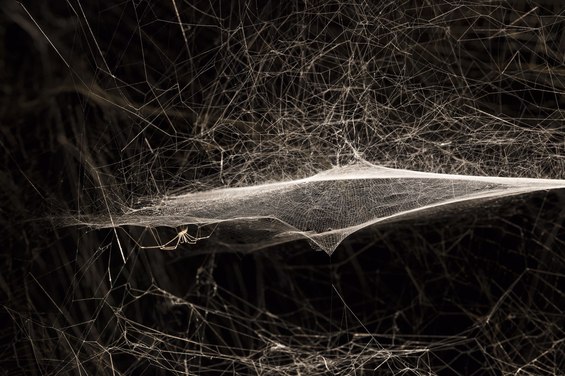 Exhibition view of: Tomás Saraceno, Webs of At-ten(sion), 2018.