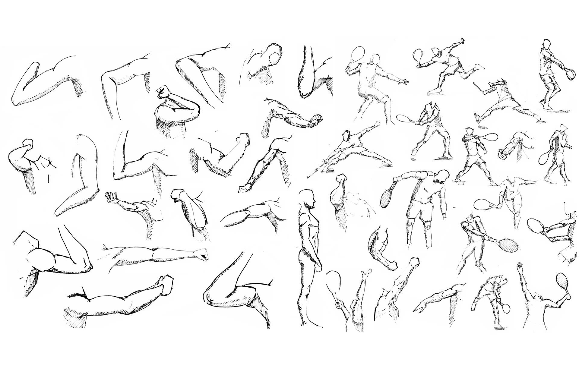 Anatomy Sketches