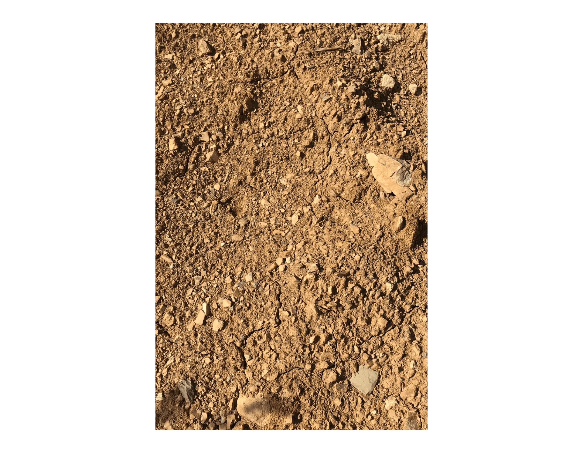 Color of the soil  —  Farmhouse