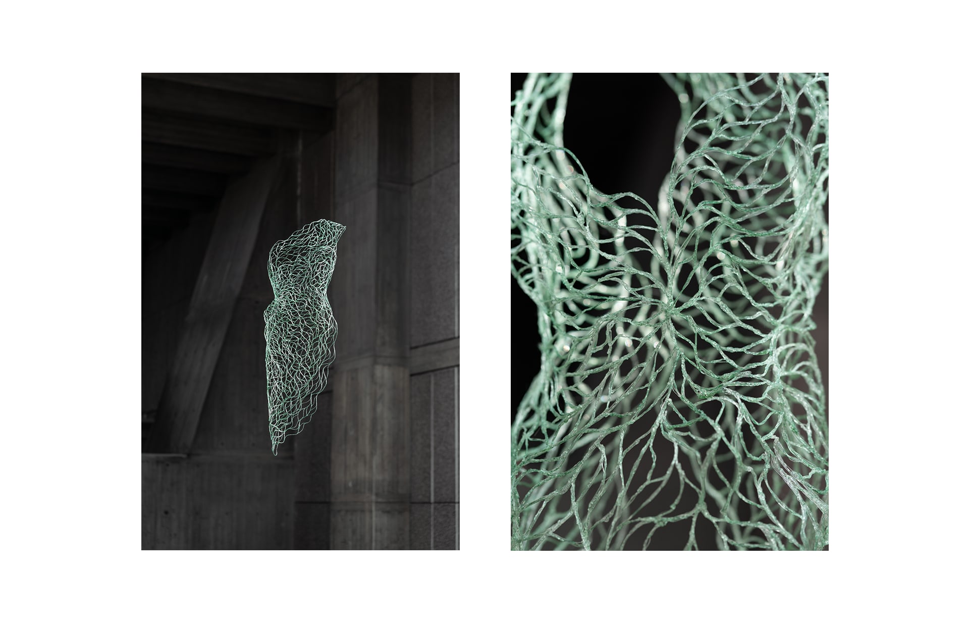 Additive Manufacturing in Biomaterials // Algae Pigmentation