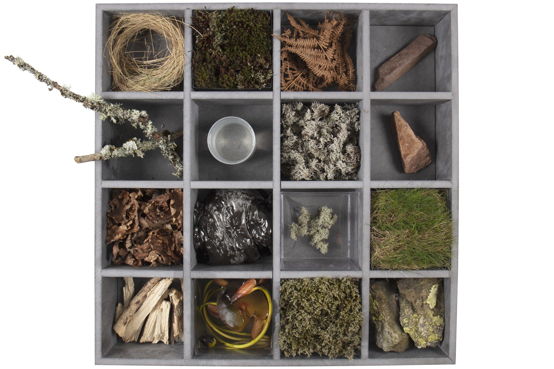 Landscape samples, arranged in a cabinet, represent a pixellated map of the 500m x 500m site.