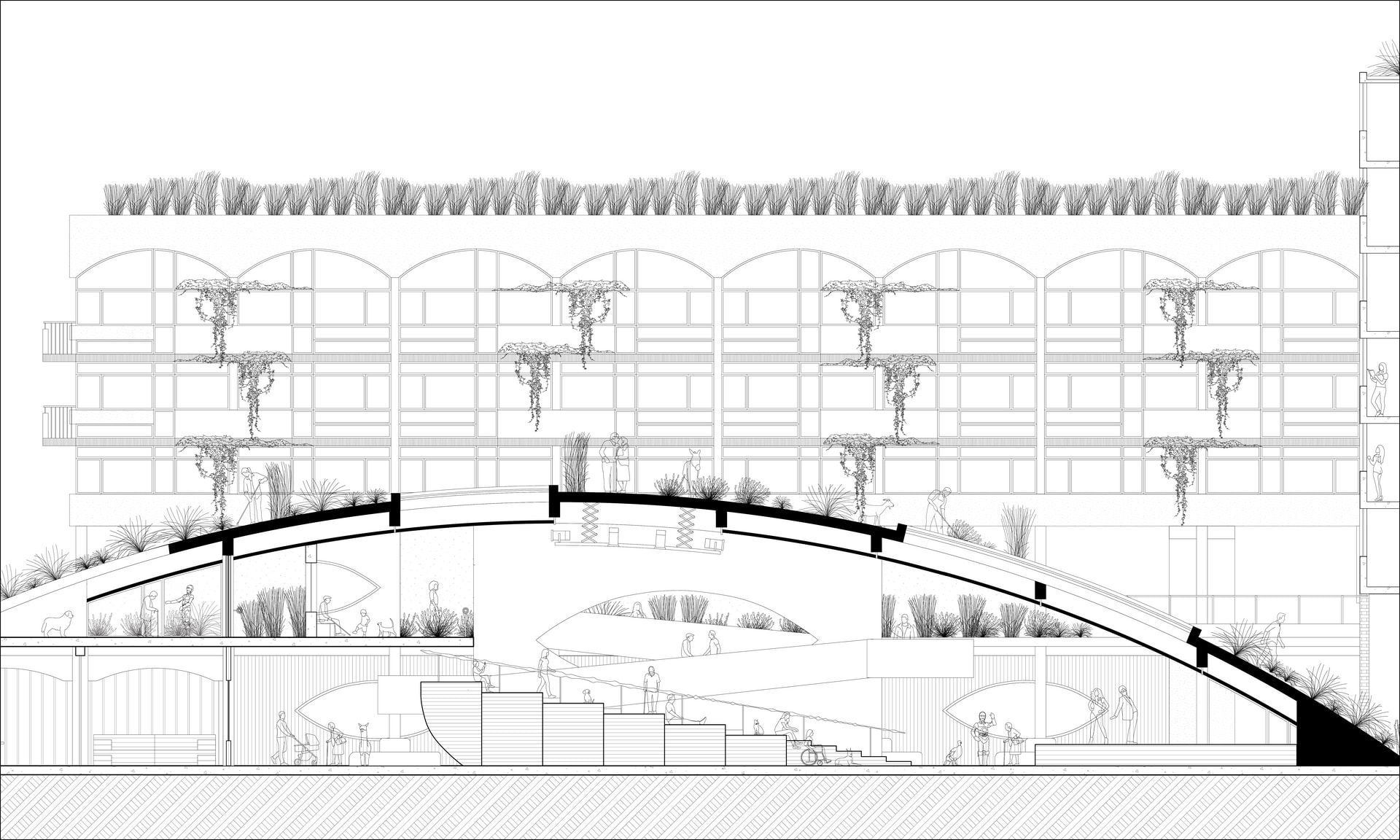 The Arena: Hill Section - Digital Drawing