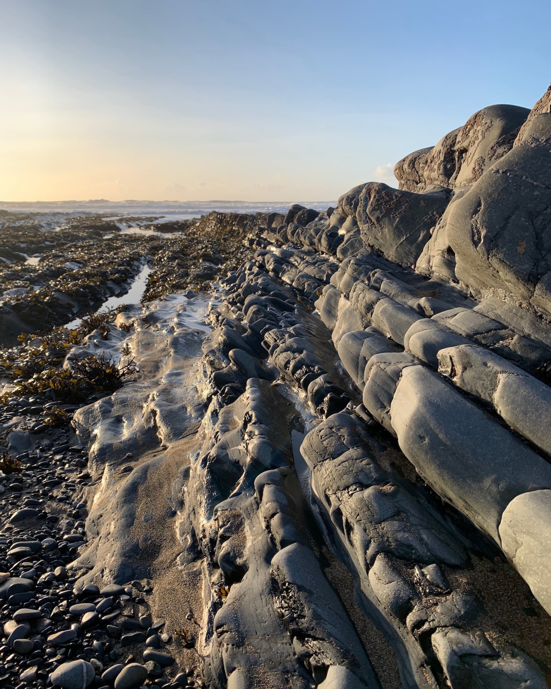 Folds of weathered rocks, Welcombe Mouth, Devon