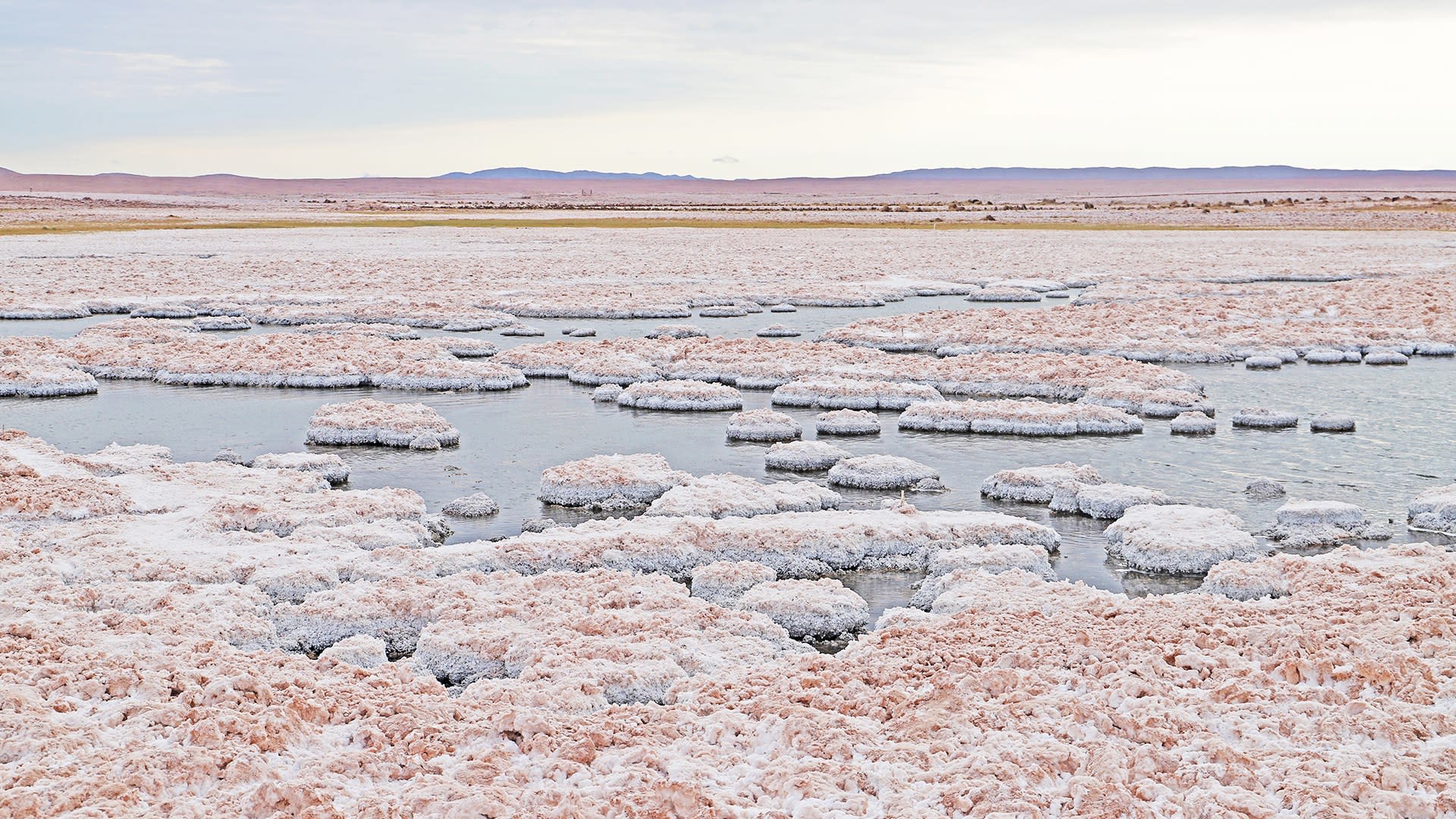 Puquio de Quilligua in Salar de Llamara