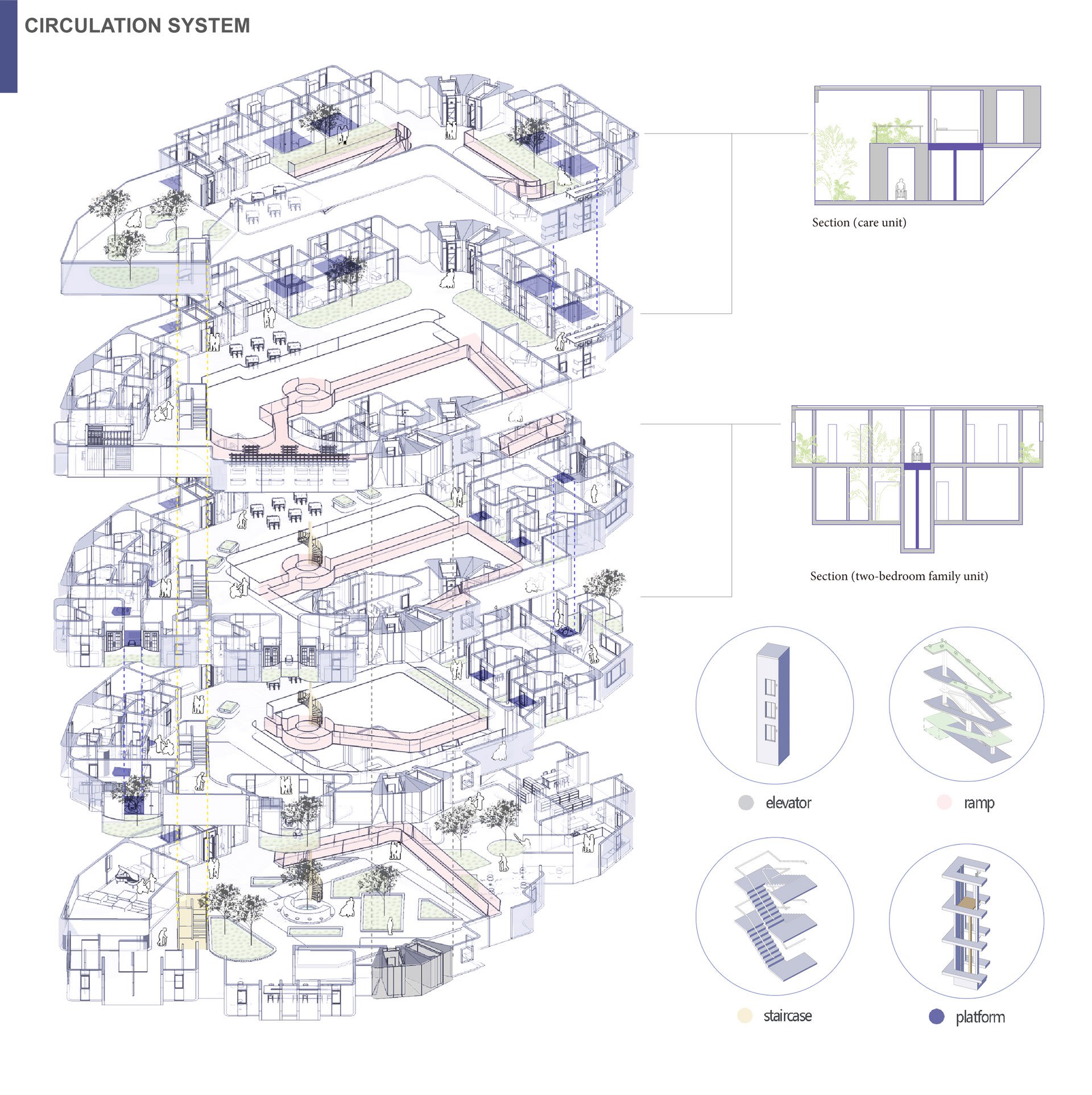 Circulation System