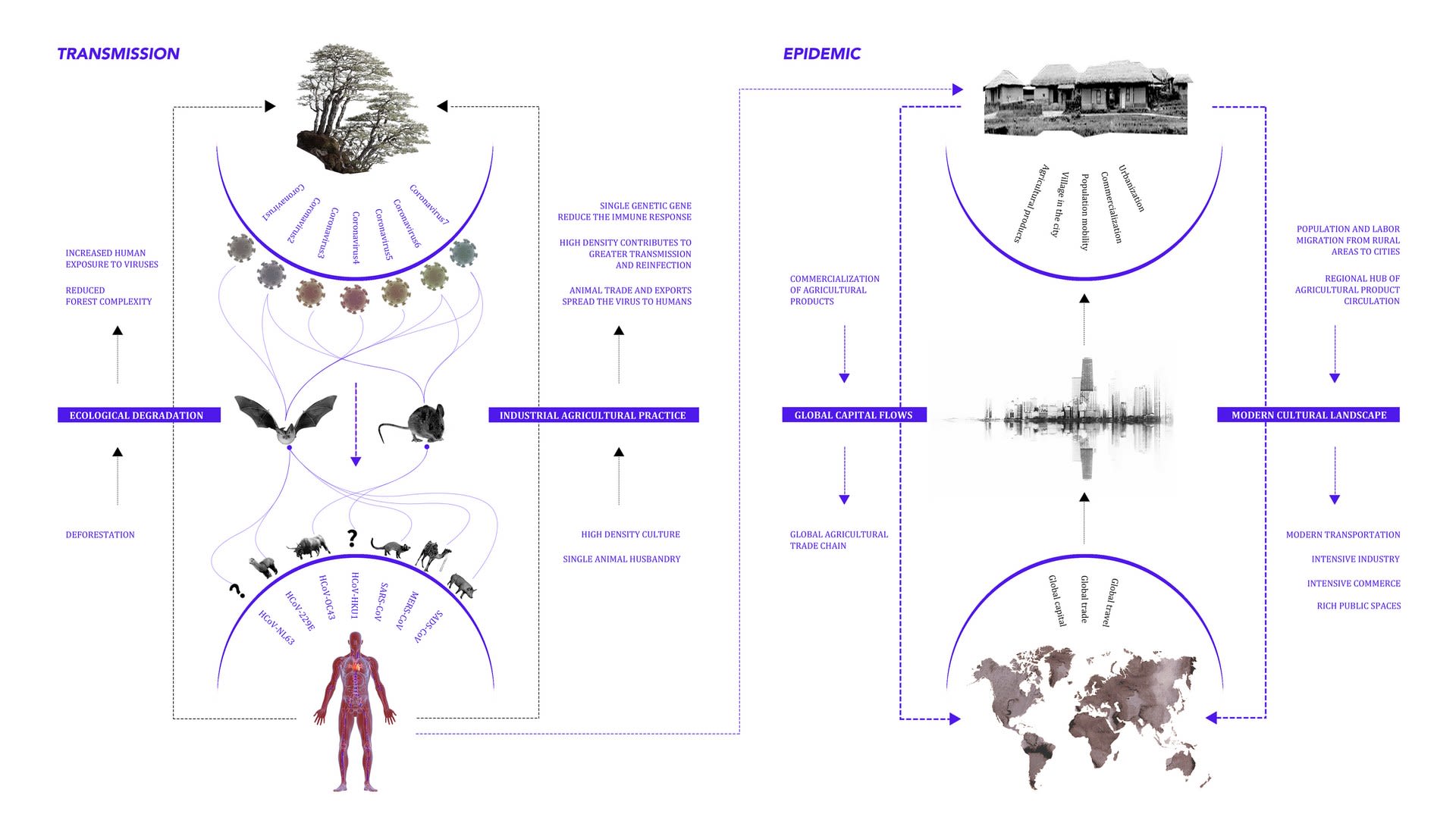 The relationship between virus epidemiology and agriculture