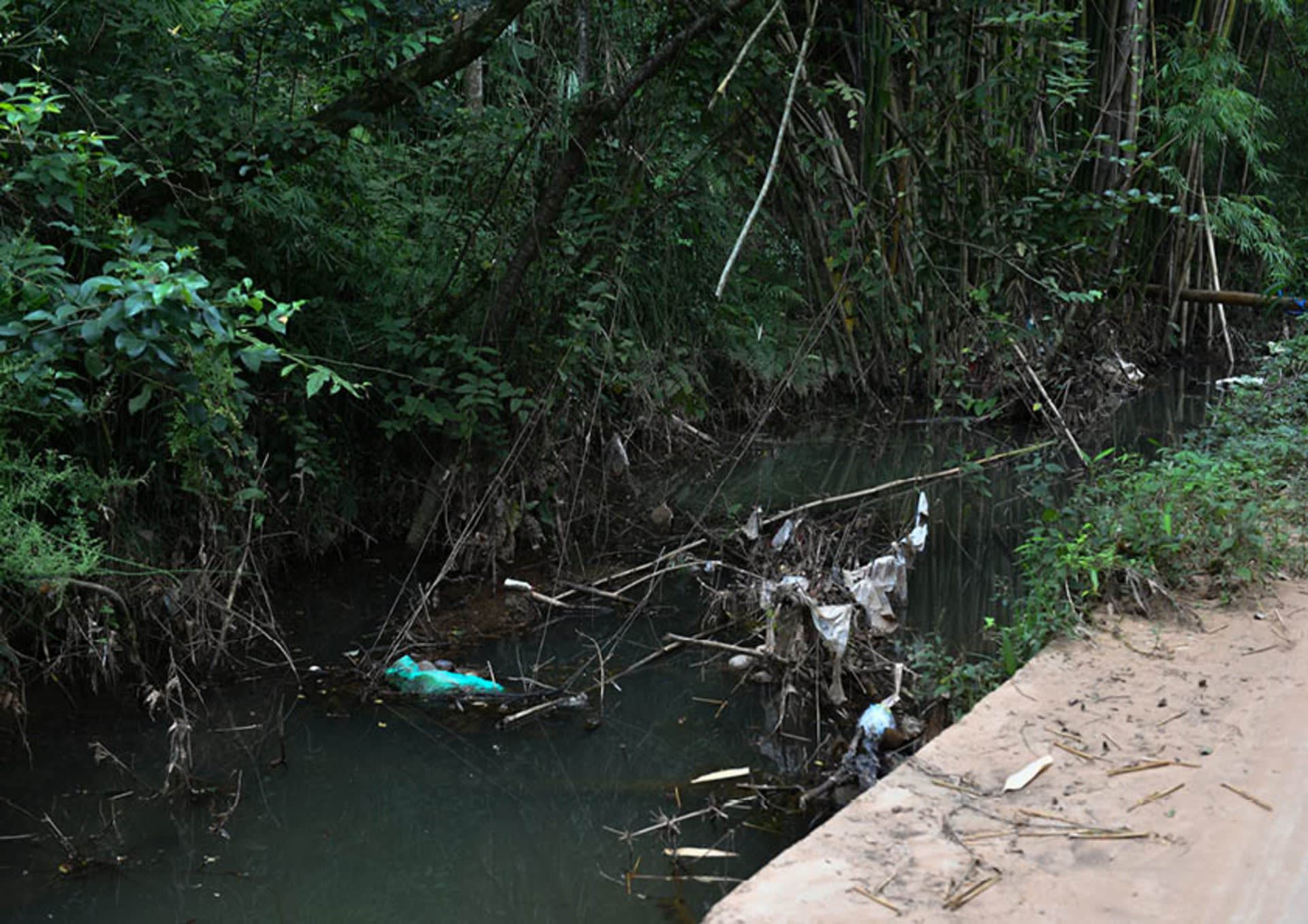 canal pollution