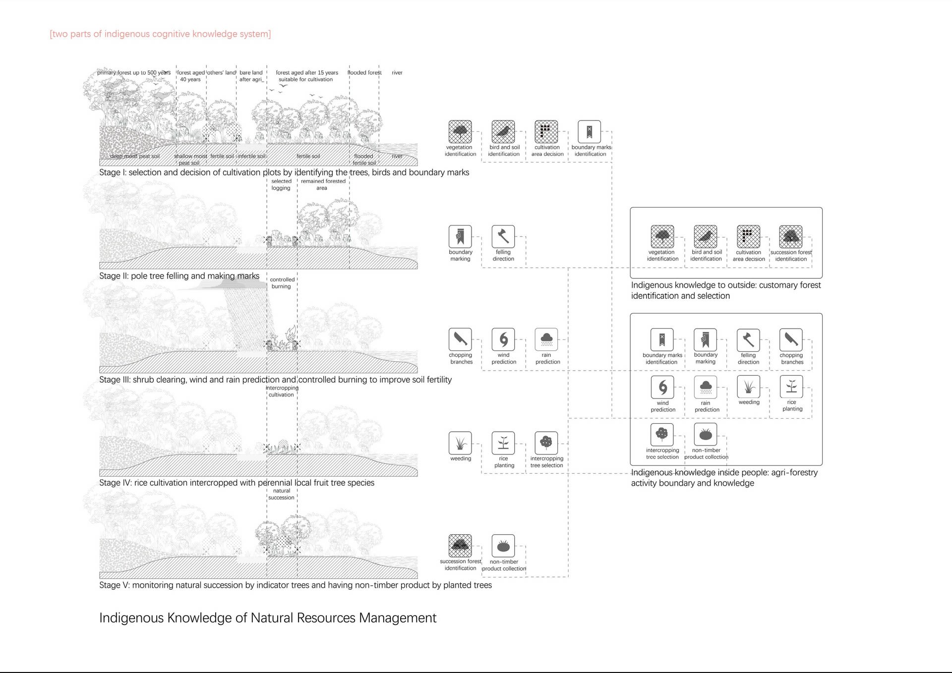 Indigenous Cognitive System