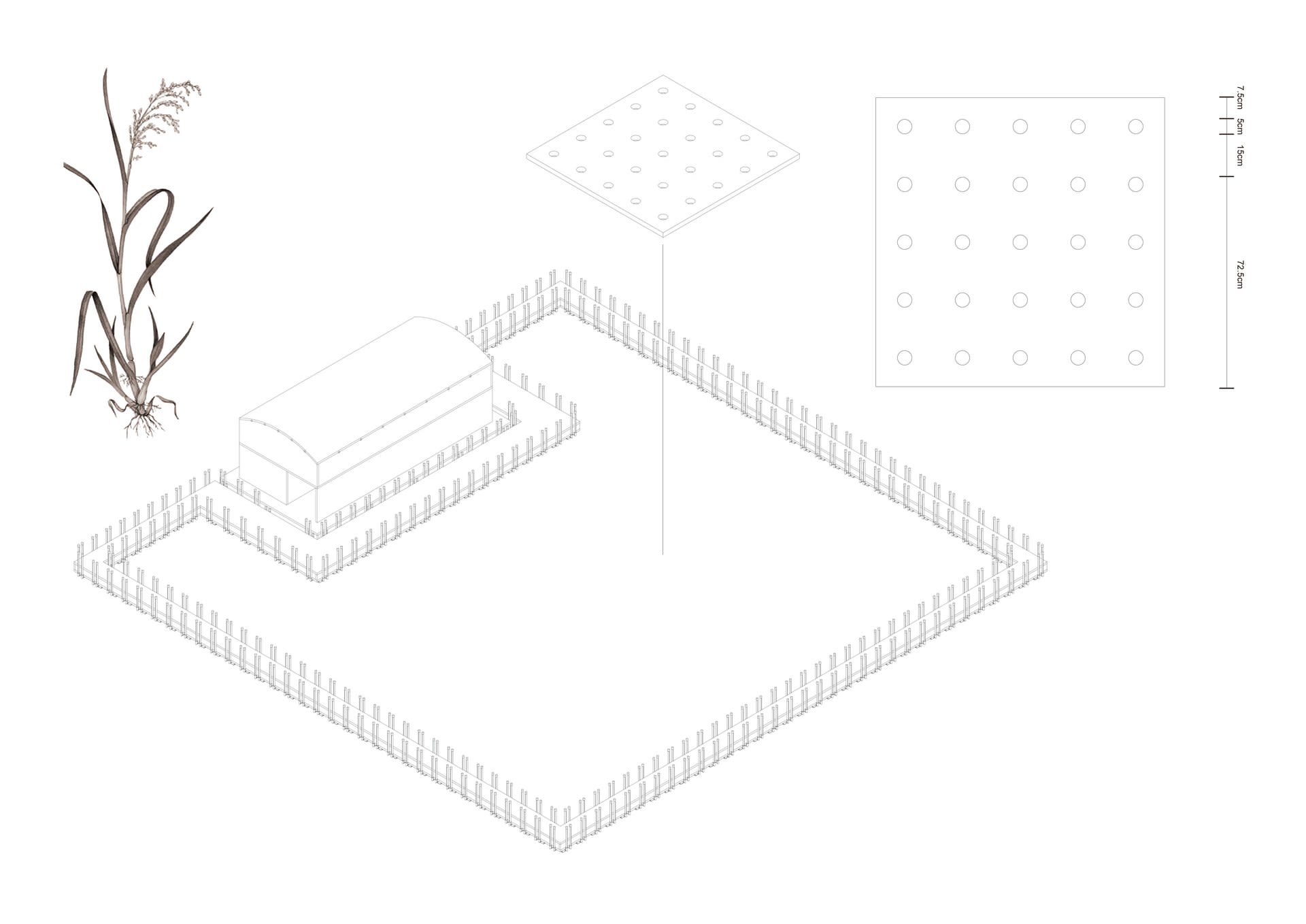Hydroponic Area