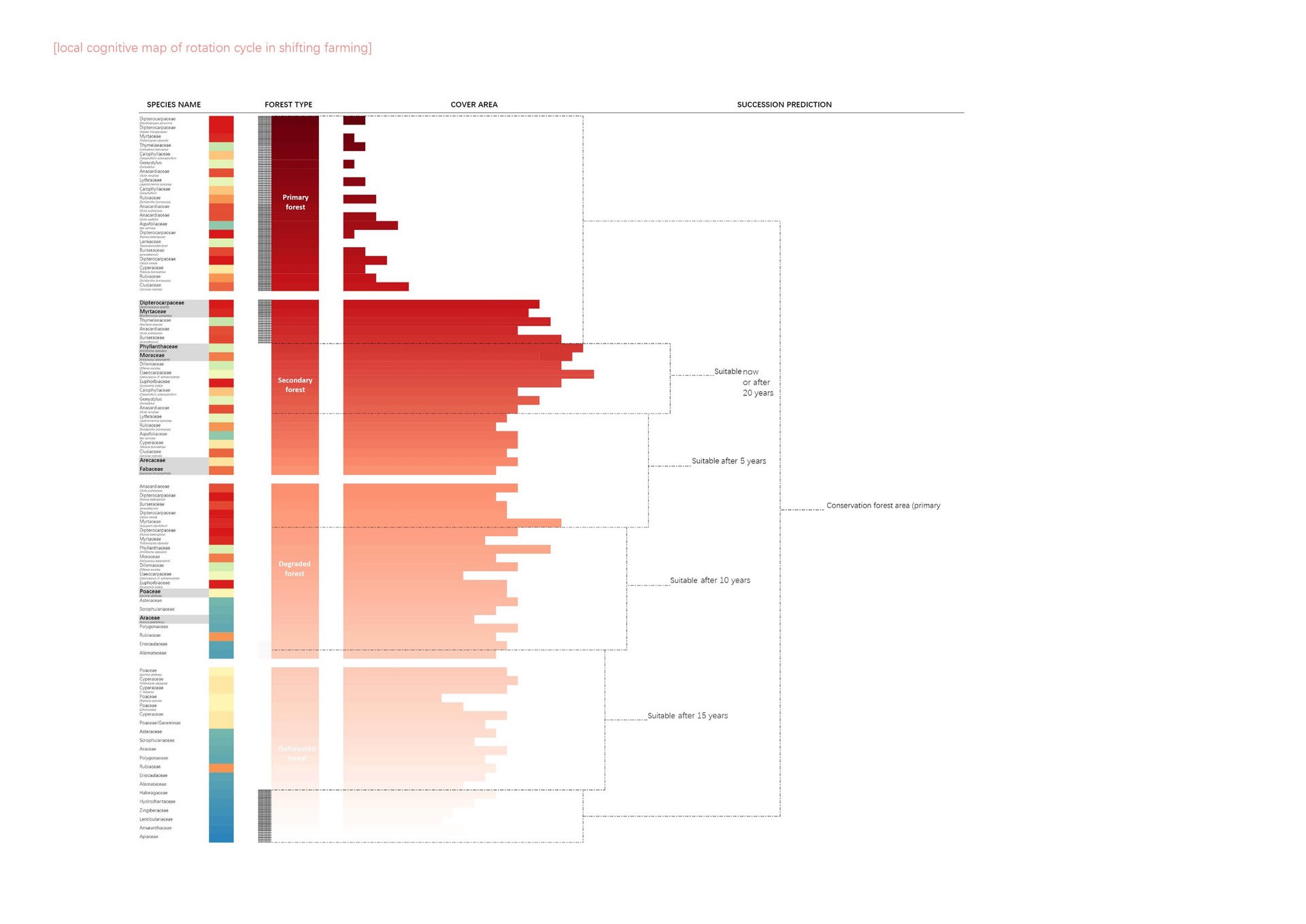 Local Cognitive Map