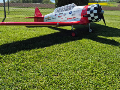 AT-6 Petrausch 1:3,75