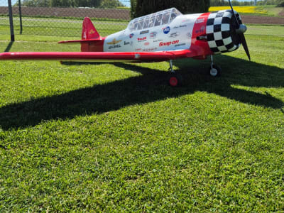 AT-6 Petrausch 1:3,75