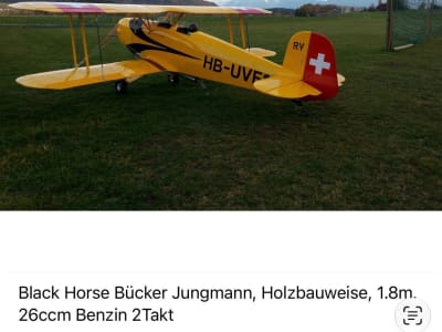 Black Horse Bücker Jungmann