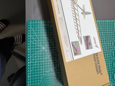 One Shot DLG Dancing Wings 1.2