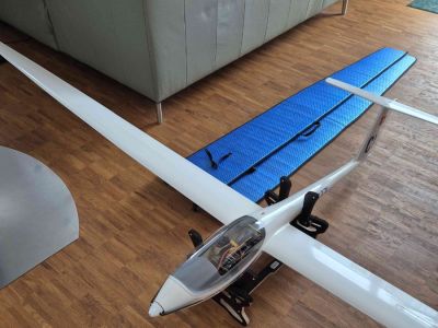 ASW28-18 Carbon Version von Royal-Model