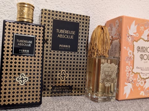 Oriza L. Legrand und Perris Monte Marions Nous, Tubéreuse Absolue