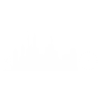disney world icon