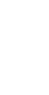 fish trophy icon