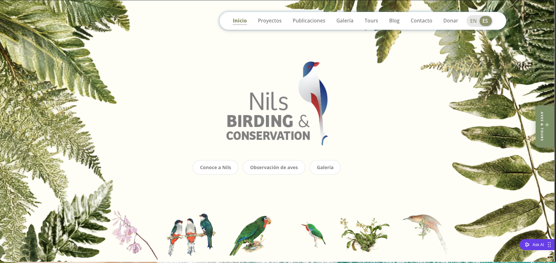 NilsBirding
