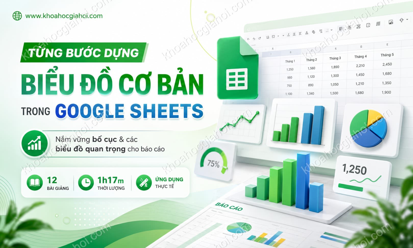 Khóa học Từng bước dựng các biểu đồ cơ bản trong báo cáo Google Sheets