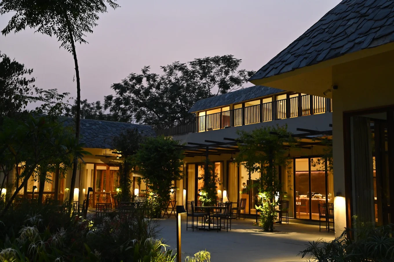Saraca Corbett Saraca Corbett