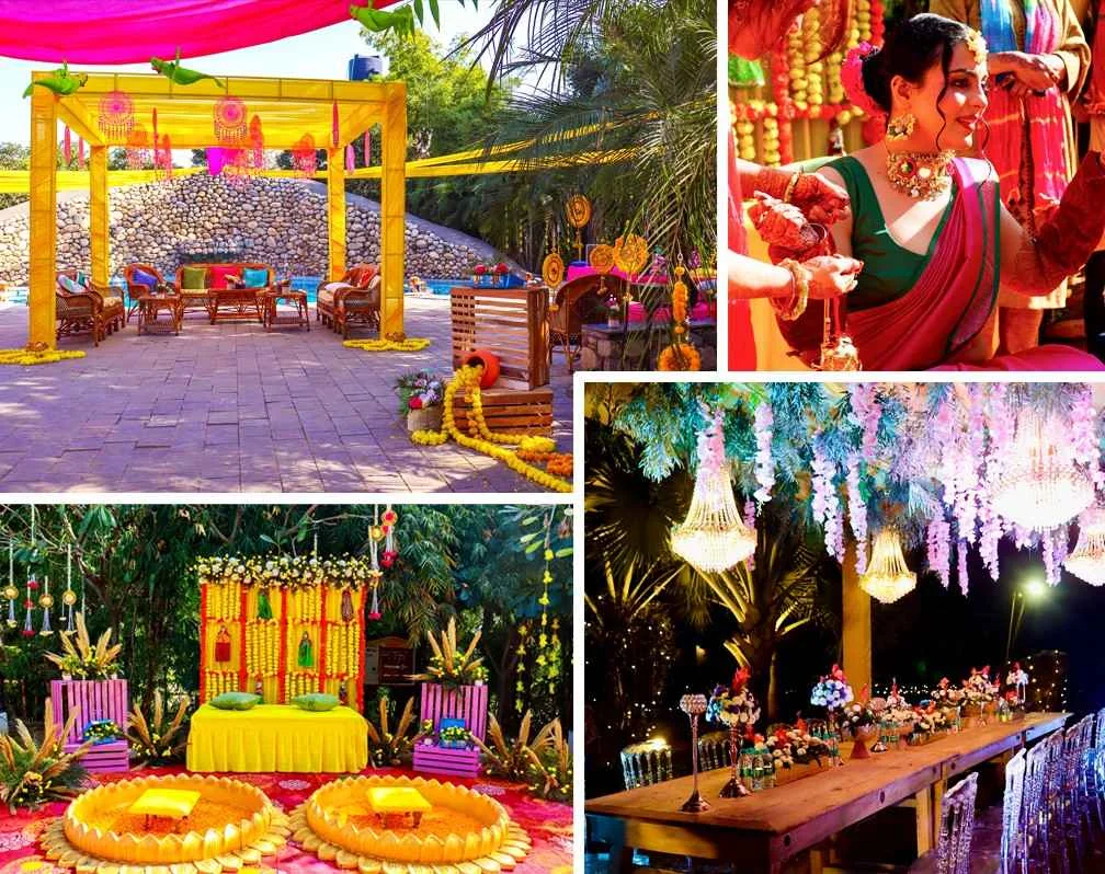 The Roar Resort The Roar Resort