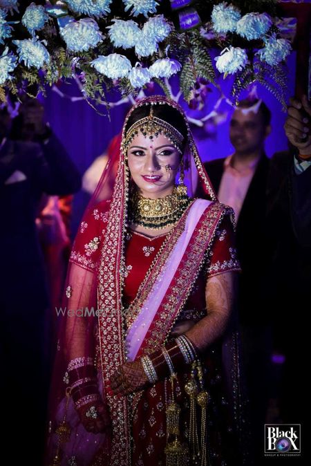 Black Box Photo Studio – Jim Corbett