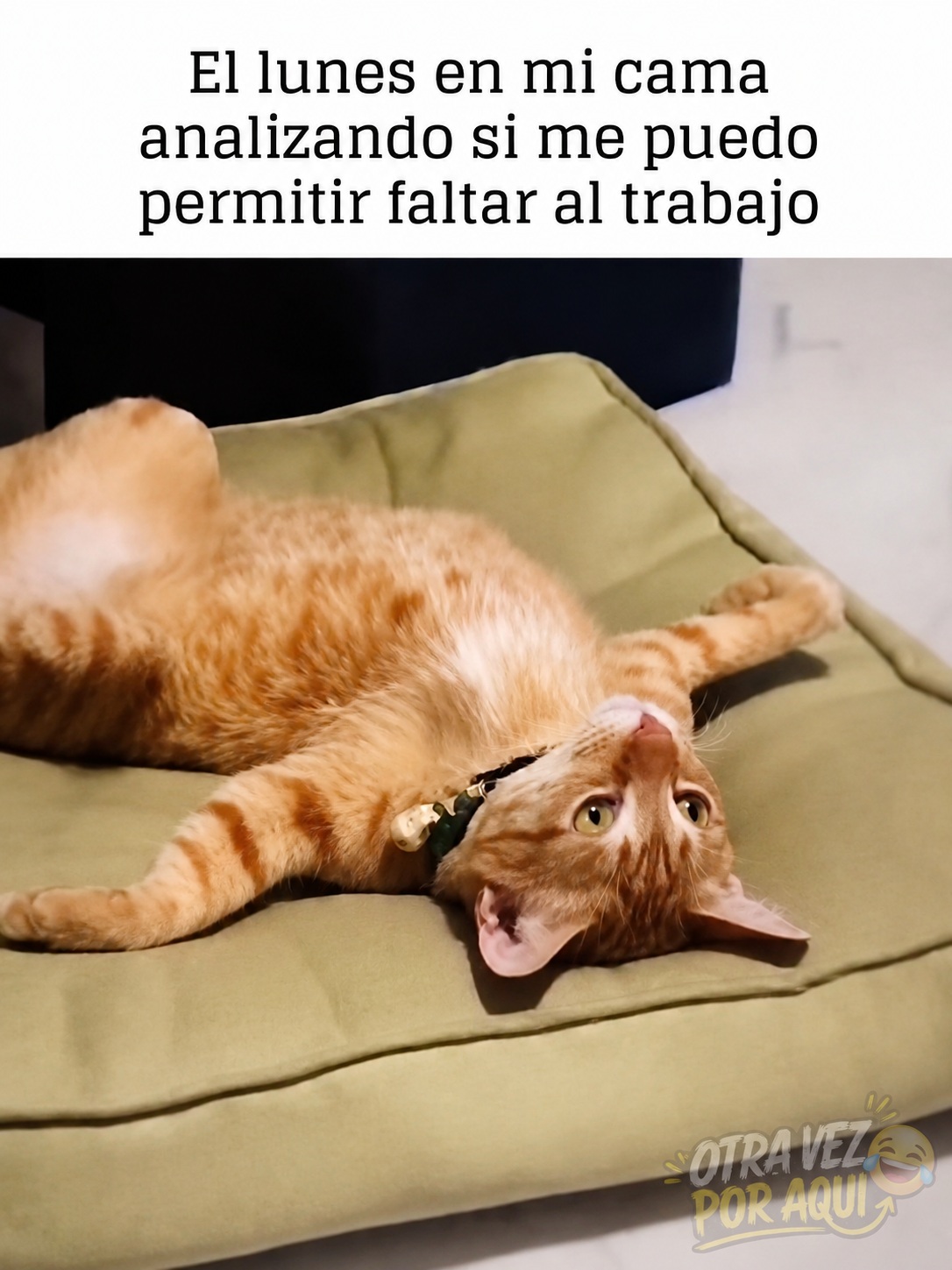 Un gato naranja acostado boca arriba en un cojín verde con expresión pensativa, bajo un texto humorístico sobre faltar al trabajo un lunes.