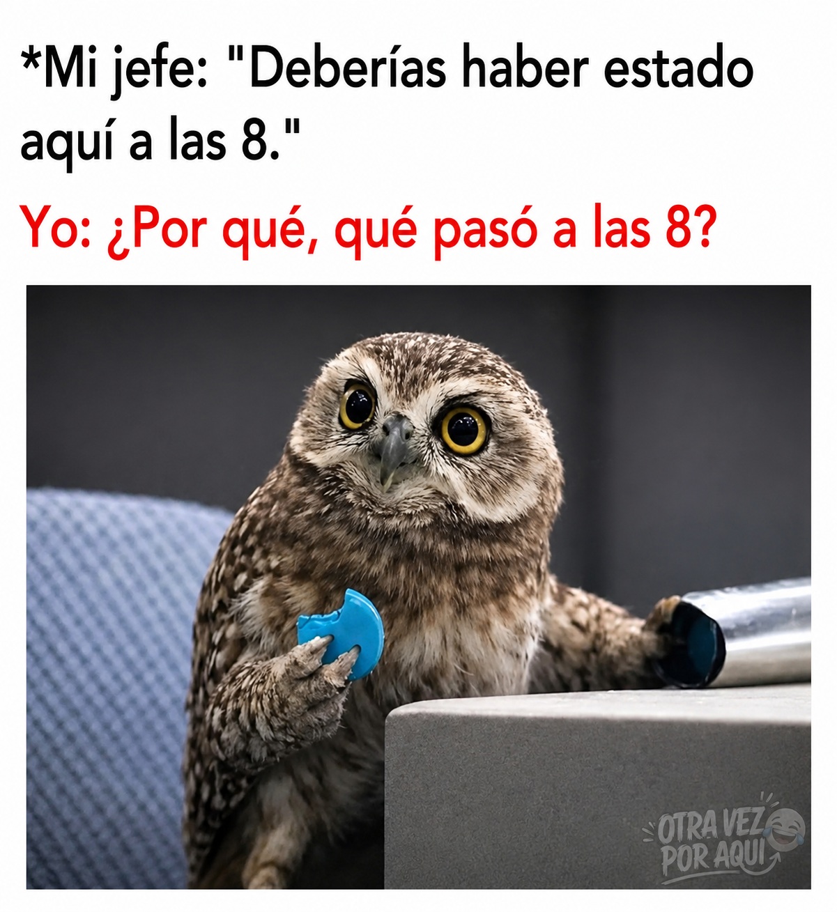 Meme con texto sobre llegar tarde al trabajo y un búho con ojos muy abiertos que sostiene un objeto azul con cara de desconcierto.