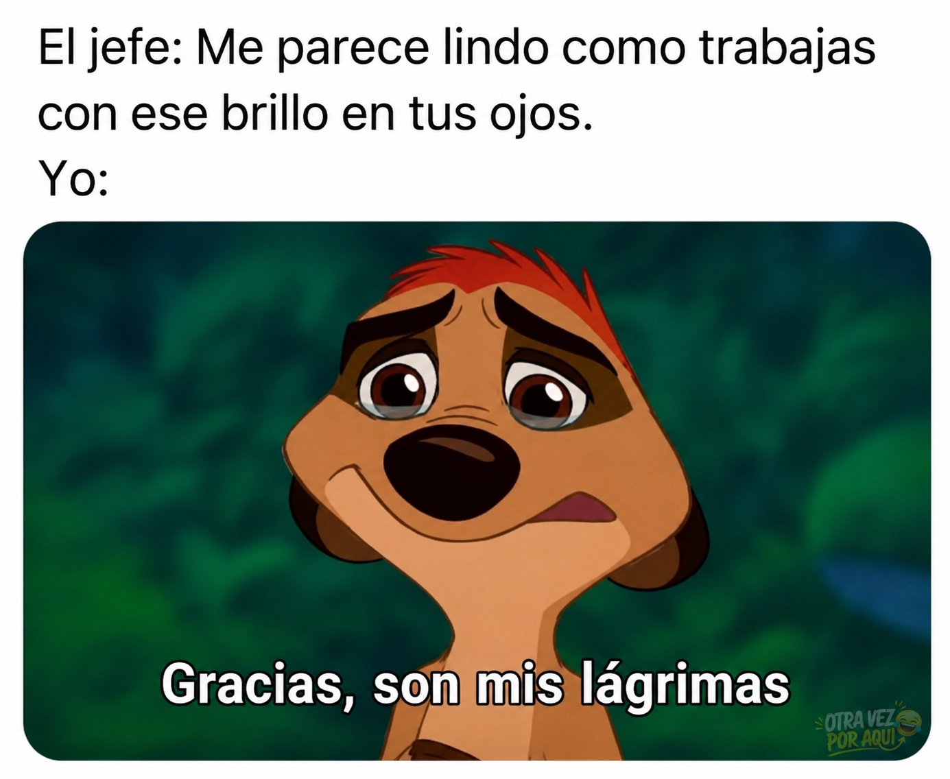 Meme con texto sobre un jefe que elogia el brillo en los ojos de su empleado, ilustrado con Timón llorando y la frase 'Gracias, son mis lágrimas'.