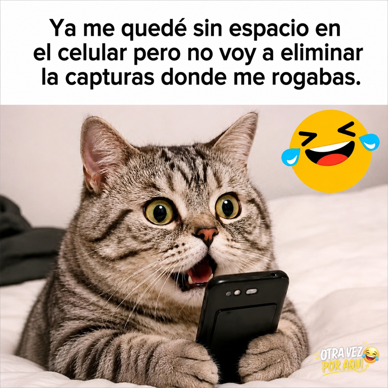 Un gato atigrado con expresión de asombro sostiene un teléfono celular con sus patas. Texto superior sobre no borrar capturas de pantalla de alguien rogando.