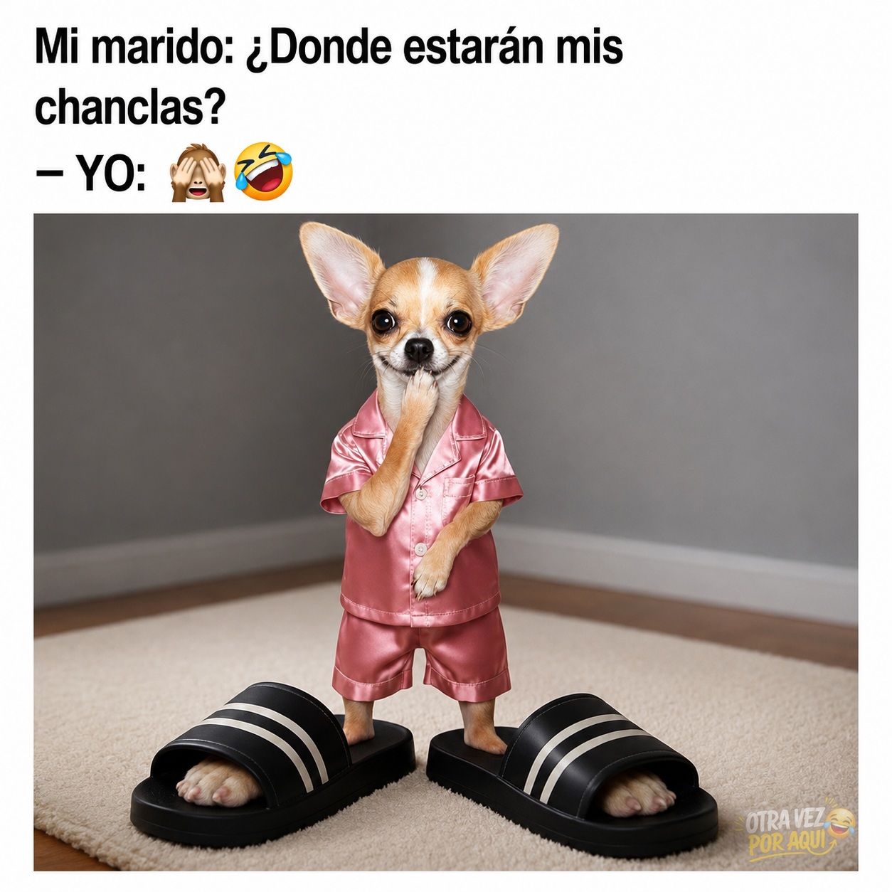 Un perro chihuahua con pijama rosa de satén lleva puestas unas sandalias negras de rayas blancas que le quedan extremadamente grandes sobre una alfombra.