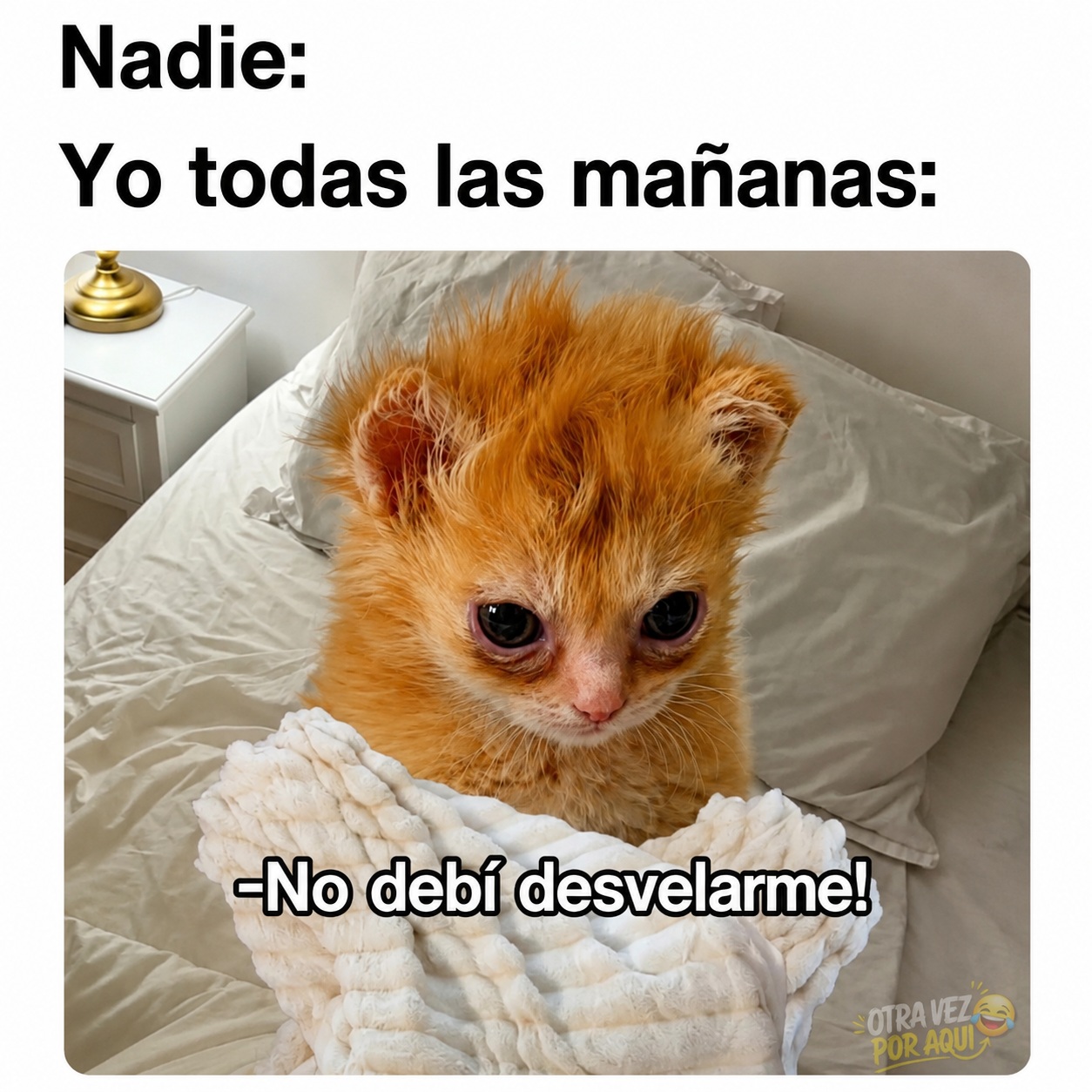 Meme con un gatito naranja despeinado en la cama bajo las cobijas, con ojos cansados y el texto 'No debí desvelarme'.