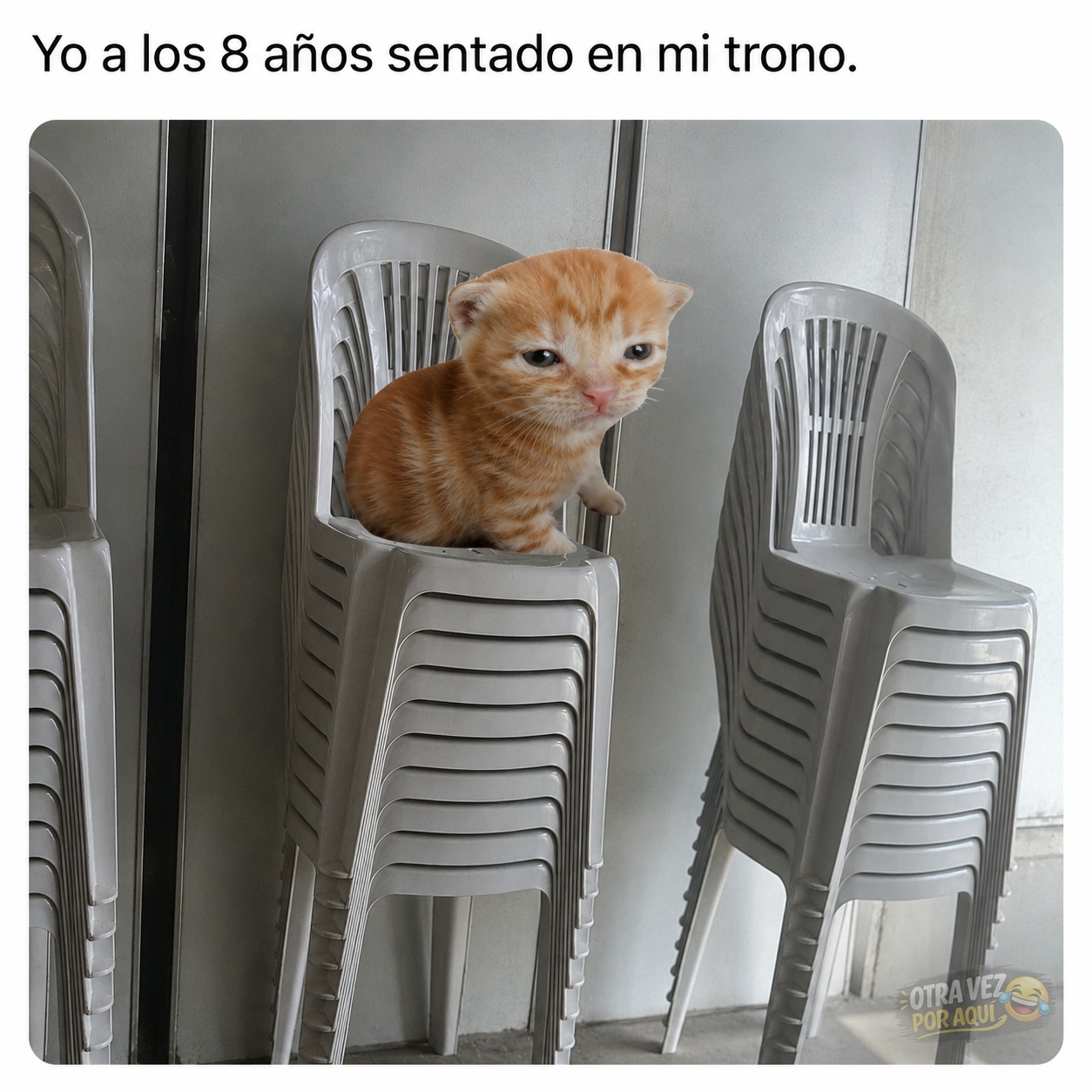 Un pequeño gatito naranja con expresión seria sentado en la cima de una pila de sillas de plástico grises, con el texto superior Yo a los 8 años sentado en mi trono.