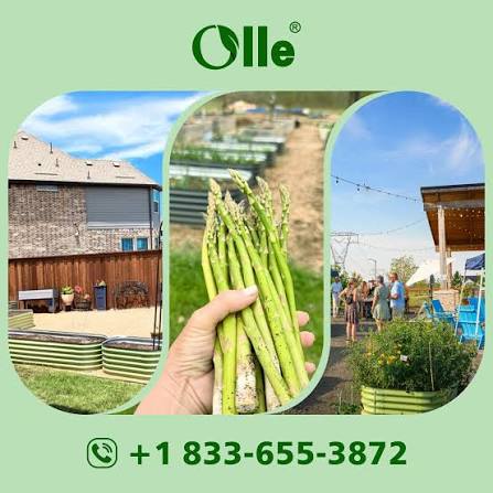 Ollegardens Coupon Codes (July 2026) — Save 10%